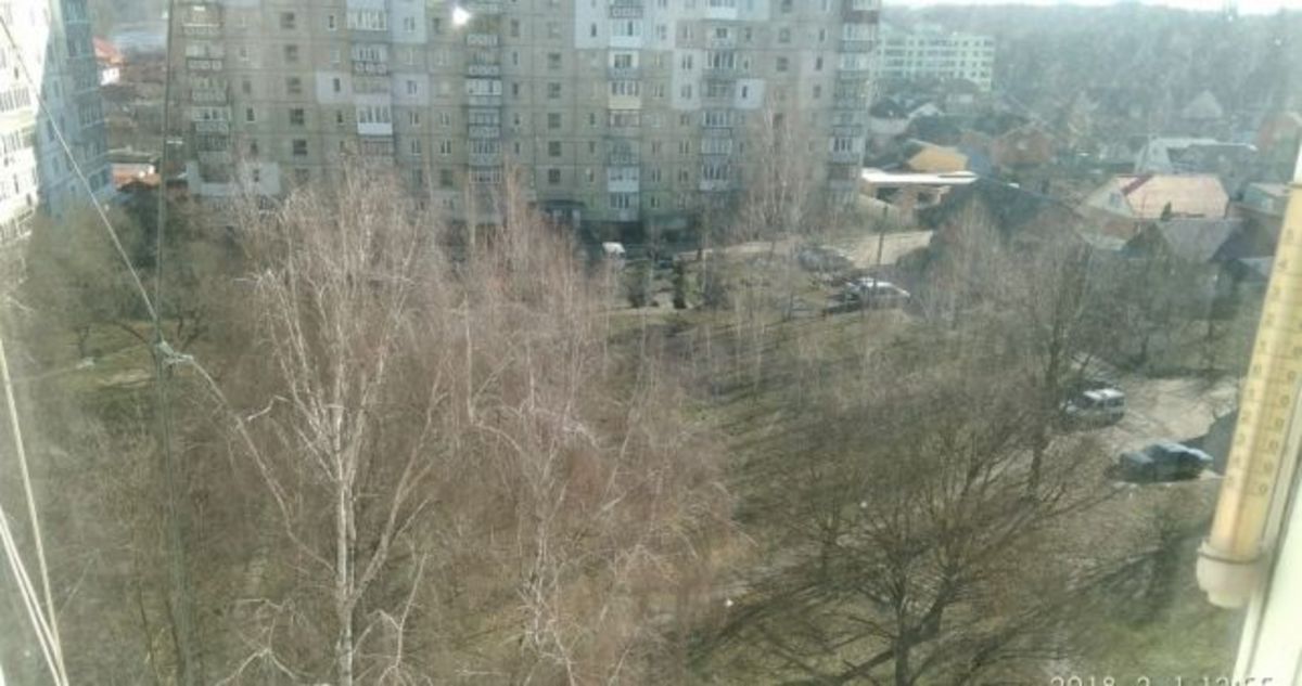 ������ �������� ���� 1