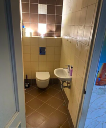 ������ �������� ���� 11