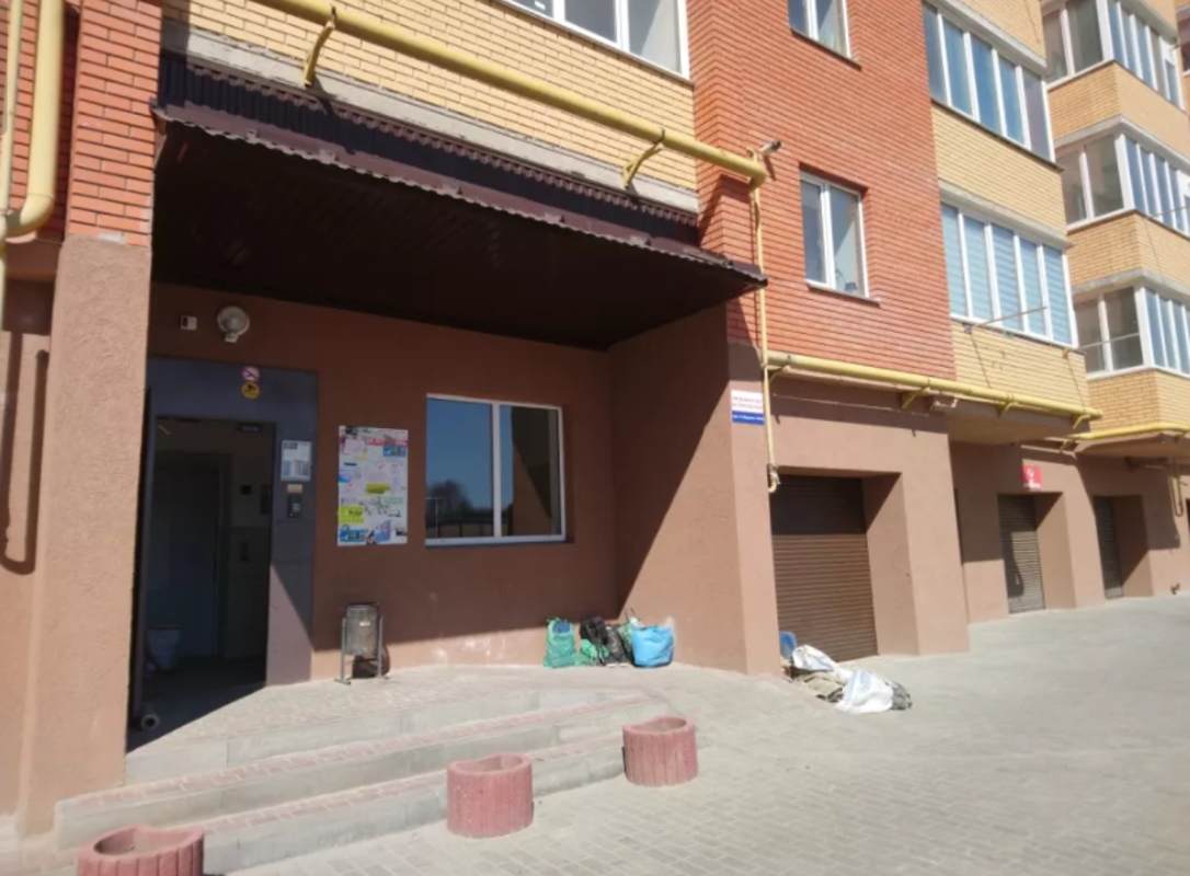 ��������� �������� ������ �������, �����������, �����������, ������ ���� 1