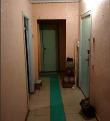 ��������� �������� �����������, �����������, ������ ���� 5