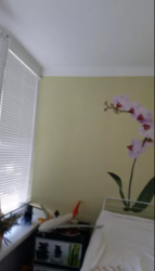 ��������� �������� �����������, �����������, ������ ���� 11