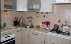 ��������� �������� �����������, �����������, ������ ���� 12