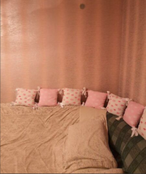 ������ 1� �������� ���� 8