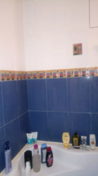 ������ 3�-�������� ���� 3