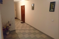 ������ 3 ������� ��������, ����� ���� 11