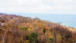 'GREEN WOOD' ������� ������� ��������, ���� 2