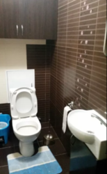 ��������� �������� �����������, �����������, ������ ���� 12