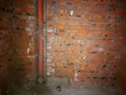 ��������� �������� ������ �������, �����������, �����������, ������ ���� 5