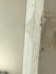 ������ �������� � ������� ������� ���� 11