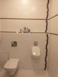 ��������� �������� ������������, �����������, �����������, ����� ���� 1