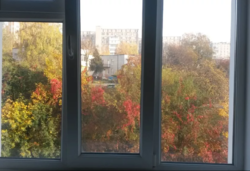 ��������� �������� �������, �����������, ����������� ���� 8