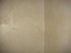 ������ �������� 88 000 $ ���� 12