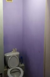 ������ 2-� �������� �� �������� ���� 11