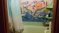 ������ �������� ���� 4