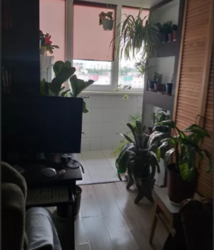 Продается квартира Хмельницкий, Хмельницкая, Озёрная фото 20 Продается квартира Хмельницкий, Хмельницкая, Озёрная фото 20