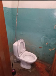 ��������� �������� ������, �����������, �����������, ������ ���� 5