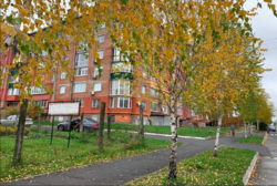 Продаж квартири, Раково фото 11 Продаж квартири, Раково фото 11