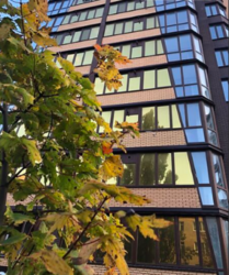 ������ 2� �������� ���� 4