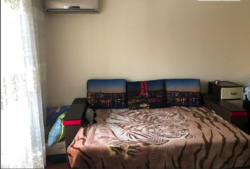 ������ �������� ���� 14