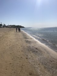 ��������� �������� �����, �����, �������� ���� 18