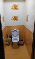 ��������� �������� �����������, ����������� ���� 3