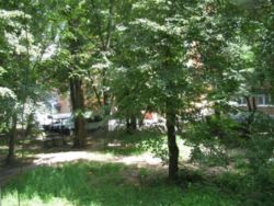 ������ 3� �������� �� ϳ������-����� ���� 9