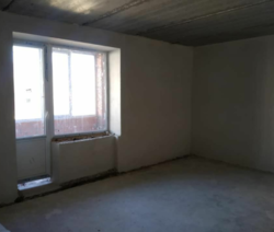 ��������� �������� �����������, �����������, ������ ���� 1