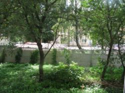 ������ 3� �������� �� ϳ������-����� ���� 8