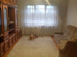 ������ �������� ���� 8