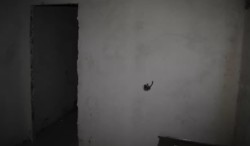 ������ 1� �������� �� ������ ���� 3