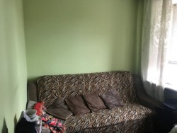 ��������� �������� ��������������, �����������, �����������, ����� ����� ���� 18