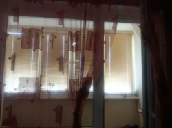 ������ 3�-�������� ���� 11