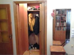 ������ 3�-�������� ���� 4