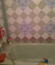 ��������� �������� ��������, �����������, �����������, ������ ���� 7