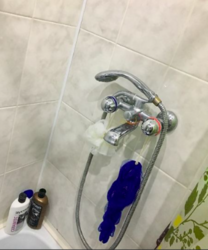 ������ �������� ���� 5