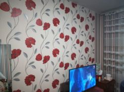 ������ 3�-�������� ���� 8