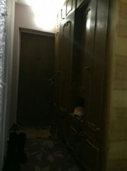 ������ �������� ���� 3