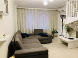 ��������� �������� �����������, �����������, �������� ���� 2