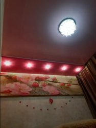 ��������� �������� ���������, �����������, �����������, ������ ���� 12