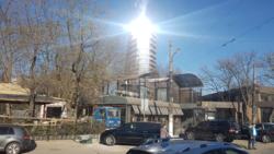 'GREEN WOOD' ������� ������� ��������, ���� 8