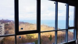 'GREEN WOOD' ������� ������� ��������, ���� 3