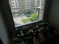 ������ 3�-�������� ���� 9