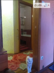 ������ 2�-�������� ���� 13