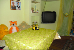 ������ 3� ��������, ������ ���� 7