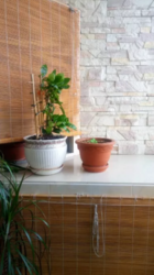 ������ 3�-�������� ���� 7