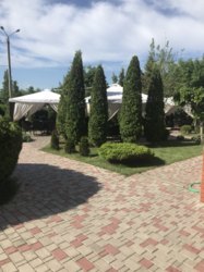 ��������� �������� �����, �����, �������� ���� 12