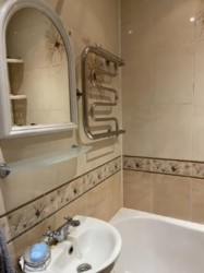 ��������� �������� �������� ����, �����������, �����������, �������� ���� 10