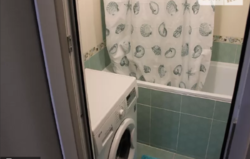 ��������� �������� �����������, �����������, ������ ���� 7