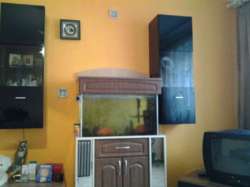 ������ �������� ���� 6