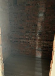 ������ 2�-�������� ���� 11